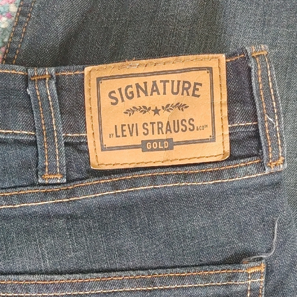 Levi's Men's Blue Jeans
